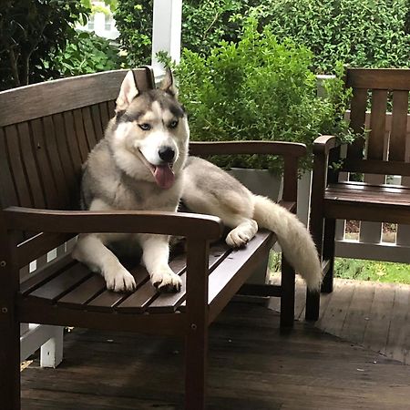 Birches B&B タリー エクステリア 写真