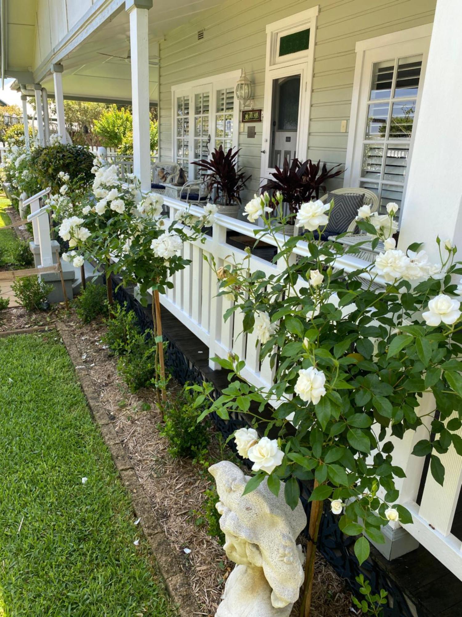 Birches B&B タリー エクステリア 写真